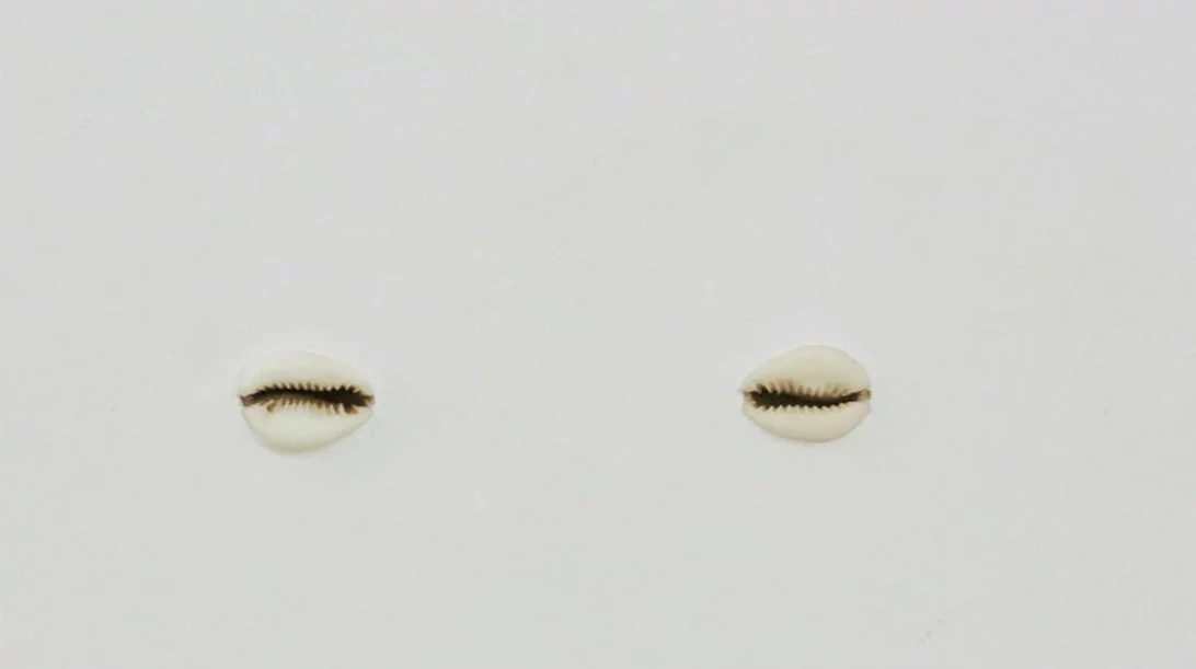 Τρεις γκαλερί σε εκτός συνόρων αναζητήσεις